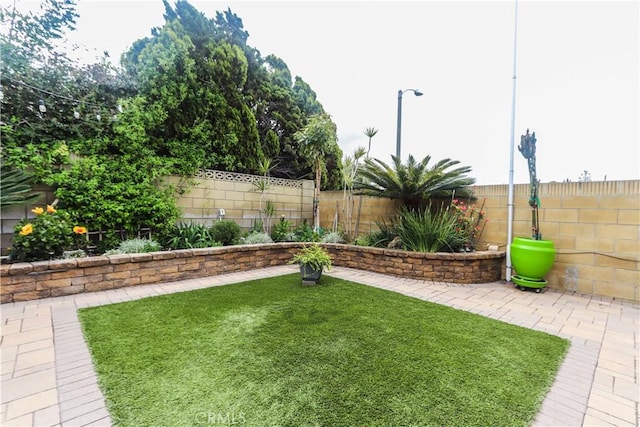 view of yard featuring a fenced backyard and a patio area