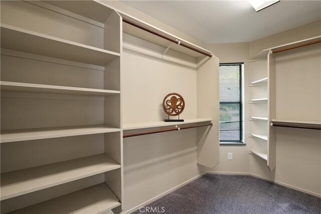 1635 Almendia Dr, Chico, CA 95926 - walk in closet with carpet
