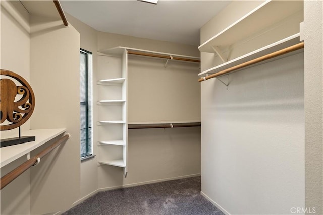 walk in closet featuring dark carpet