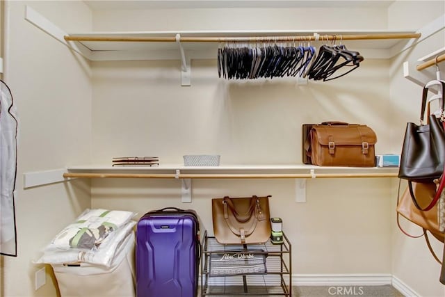 view of spacious closet