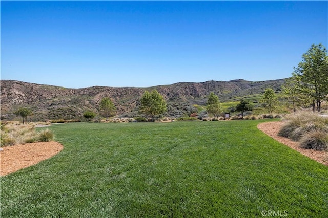 view of yard featuring a mountain view