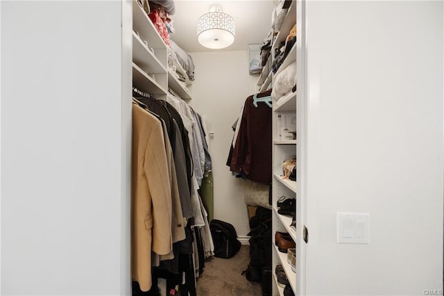 spacious closet with carpet