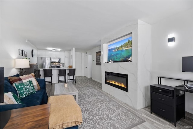 living area featuring a premium fireplace and light wood-style floors