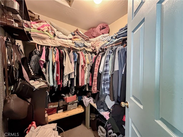 2901 Flint Hills Dr, Bakersfield, CA 93313 - view of walk in closet
