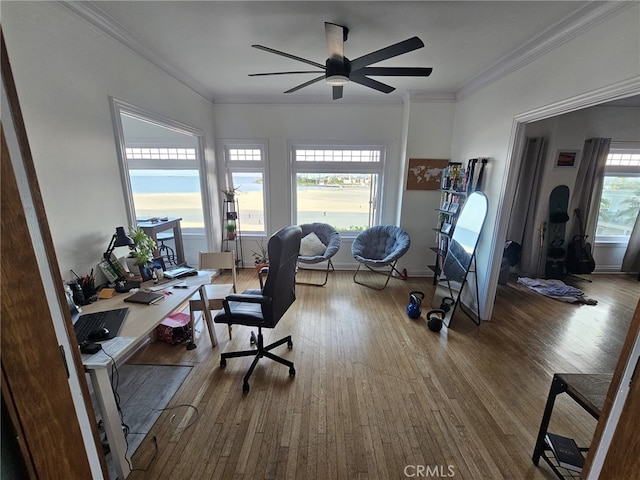 1030 E Ocean Blvd Unit 210, Long Beach, CA 90802 - office space with wood finished floors, ceiling fan, and crown molding