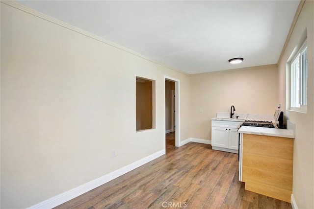 interior space featuring baseboards, a sink, wood finished floors, and ornamental molding