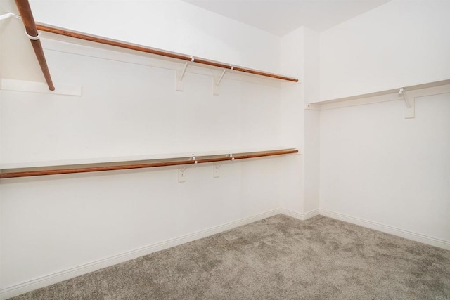 walk in closet featuring carpet