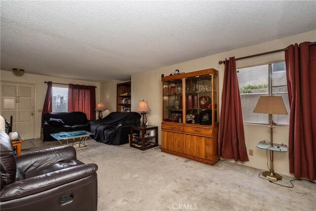 living room featuring carpet floors and a textured ceiling