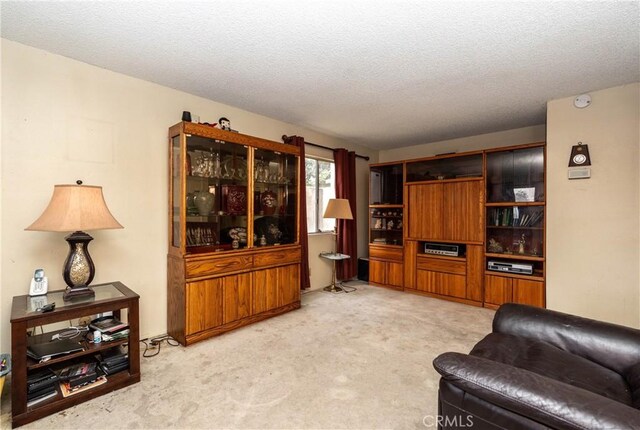 living room with light colored carpet and a textured ceiling