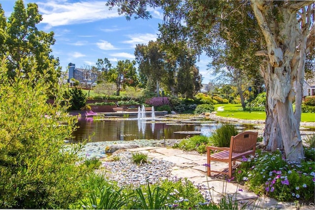 814 Okra Ct, Carlsbad, CA 92011 - view of community featuring a water view