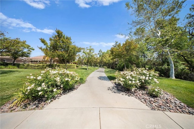 5551 Corte Fiesta, Hemet, CA 92545 - view of community featuring a lawn