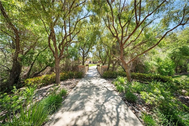 5551 Corte Fiesta, Hemet, CA 92545 - view of home's community
