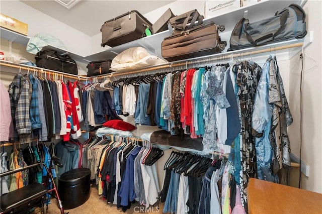 5551 Corte Fiesta, Hemet, CA 92545 - walk in closet with carpet floors