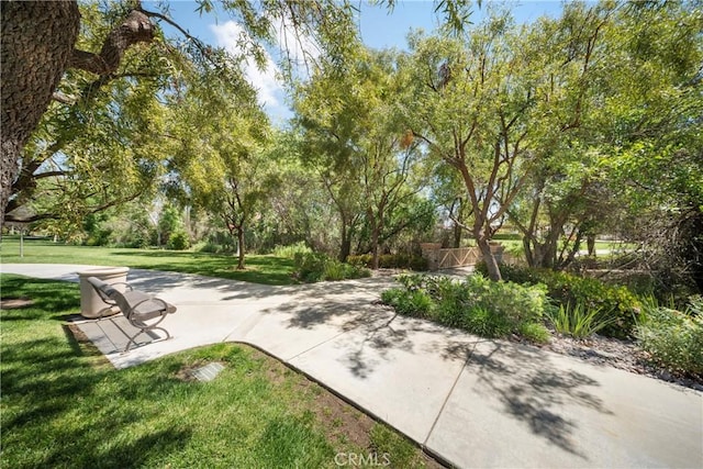 5551 Corte Fiesta, Hemet, CA 92545 - surrounding community featuring a lawn and view of scattered trees