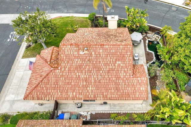 bird's eye view
