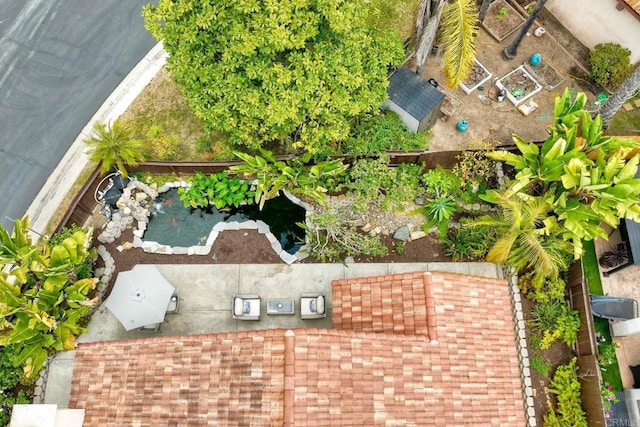 bird's eye view