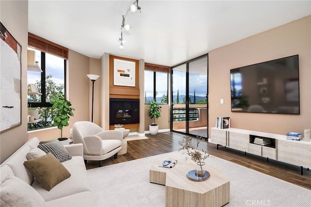 living area featuring a glass covered fireplace, rail lighting, wood finished floors, and expansive windows