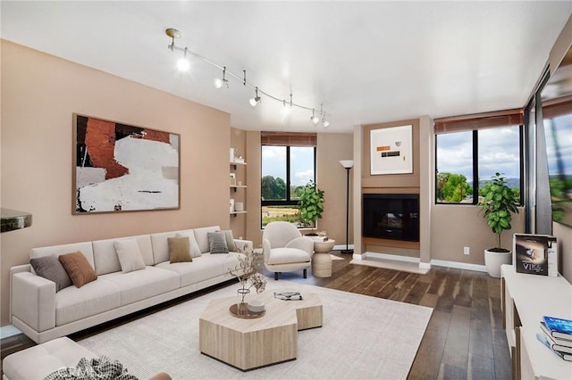 living area featuring dark wood-style flooring, baseboards, and rail lighting