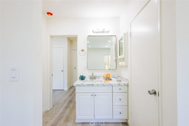 bathroom featuring wood finished floors and vanity