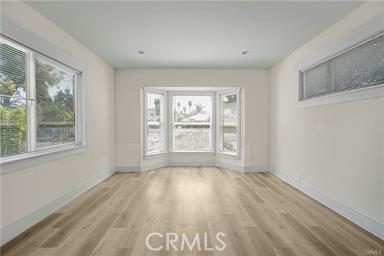 spare room featuring baseboards, a healthy amount of sunlight, and wood finished floors
