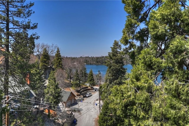 28844 Cedar Dr, Lake Arrowhead, CA 92352 - water view featuring a forest