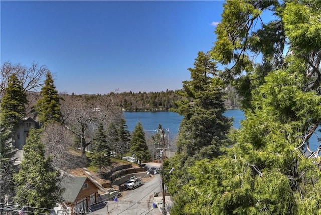 28844 Cedar Dr, Lake Arrowhead, CA 92352 - water view with a heavily wooded area
