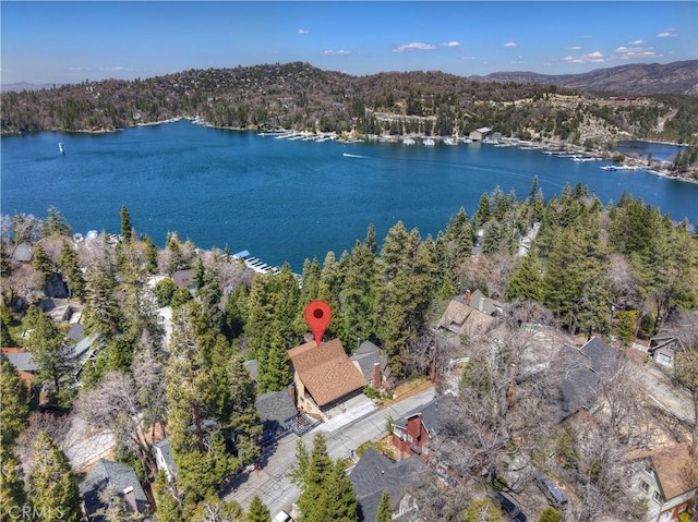 aerial view featuring a water view and a forest view
