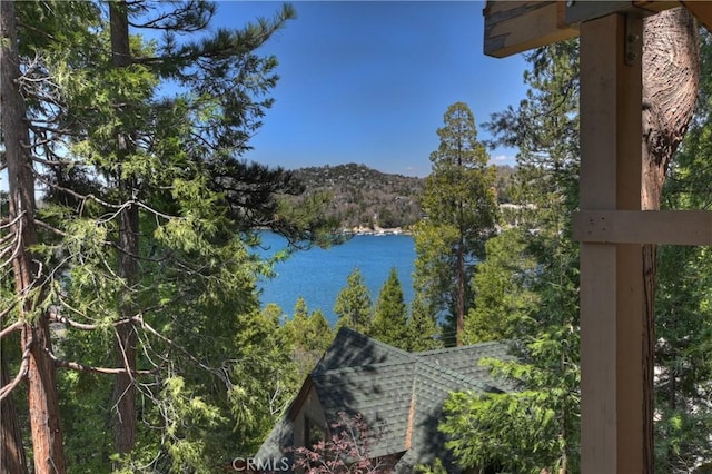 28844 Cedar Dr, Lake Arrowhead, CA 92352 - water view