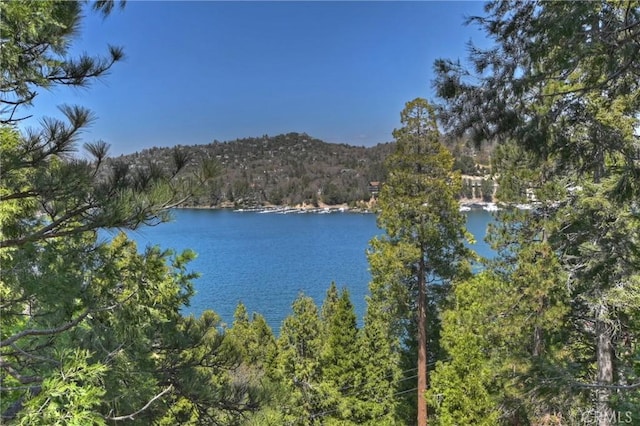 water view featuring a view of trees