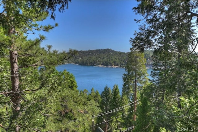 28844 Cedar Dr, Lake Arrowhead, CA 92352 - water view featuring a forest