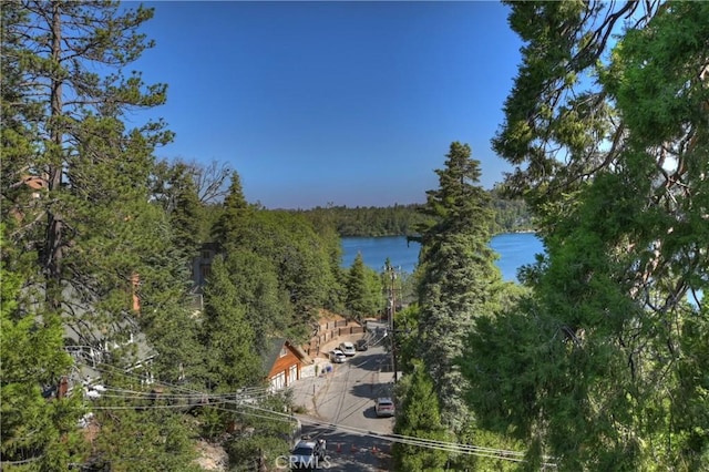 28844 Cedar Dr, Lake Arrowhead, CA 92352 - water view with a heavily wooded area