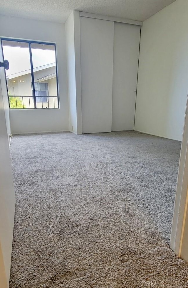 unfurnished room with carpet floors and a textured ceiling