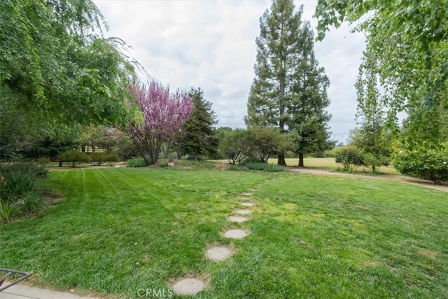 3065 Tierra Mesa, Atascadero, CA 93422 - view of green lawn