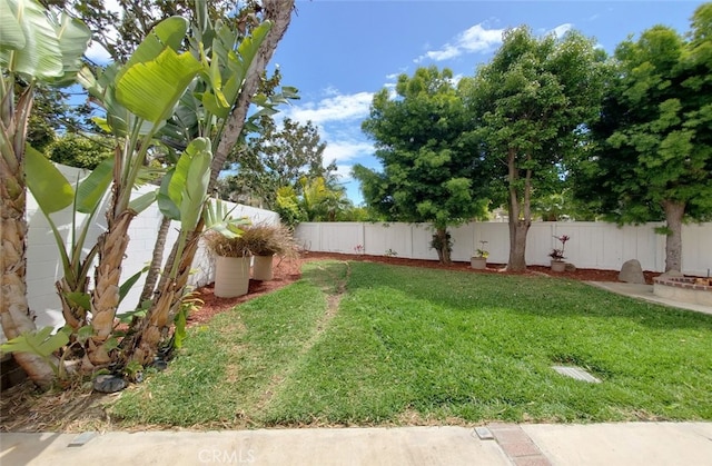 view of yard with a fenced backyard
