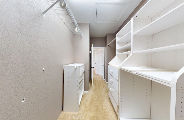 18672 Park Meadow Ln, Huntington Beach, CA 92648 - laundry room featuring light carpet, attic access, and a textured wall