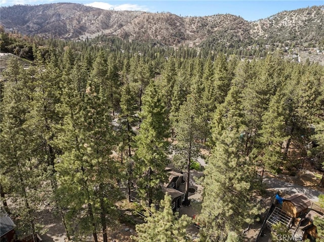 993 Partridge Rd, Wrightwood, CA 92397 - photo 39