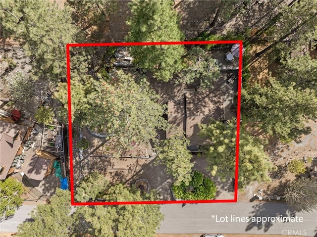993 Partridge Rd, Wrightwood, CA 92397 - photo 34