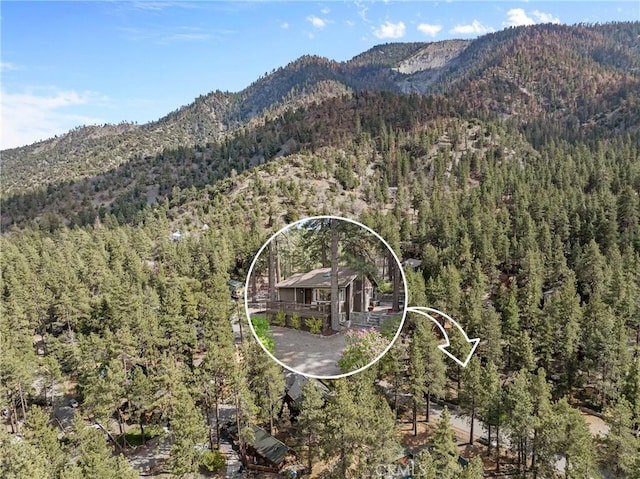 993 Partridge Rd, Wrightwood, CA 92397 - photo 37