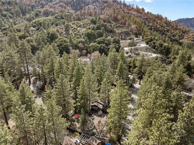 993 Partridge Rd, Wrightwood, CA 92397 - photo 38