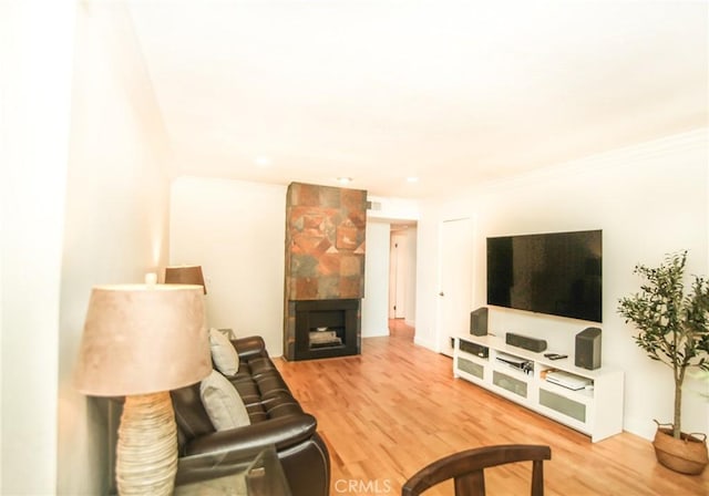 living area featuring crown molding, wood finished floors, and a fireplace