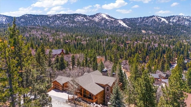 43653 Colusa Dr, Big Bear Lake, CA 92315 - photo 57