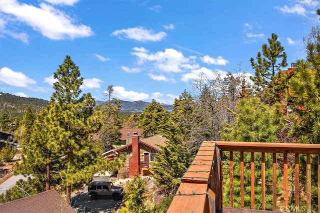 43653 Colusa Dr, Big Bear Lake, CA 92315 - photo 28