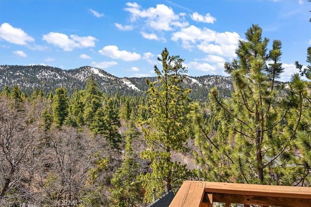 43653 Colusa Dr, Big Bear Lake, CA 92315 - photo 30