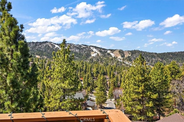 43653 Colusa Dr, Big Bear Lake, CA 92315 - photo 29