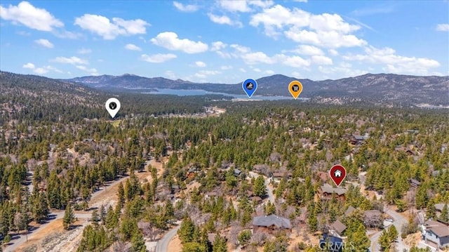 43653 Colusa Dr, Big Bear Lake, CA 92315 - photo 61