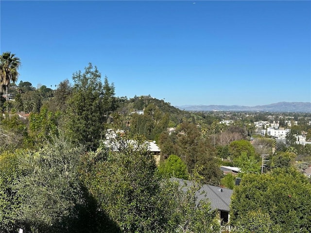 birds eye view of property featuring a mountain view