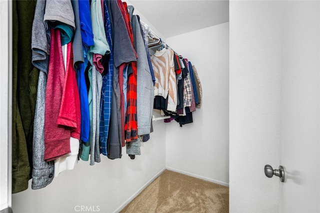 walk in closet with carpet floors