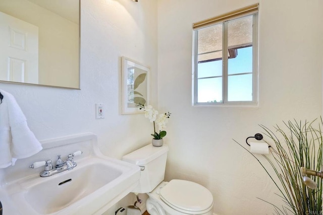 half bath featuring toilet, plenty of natural light, and a sink