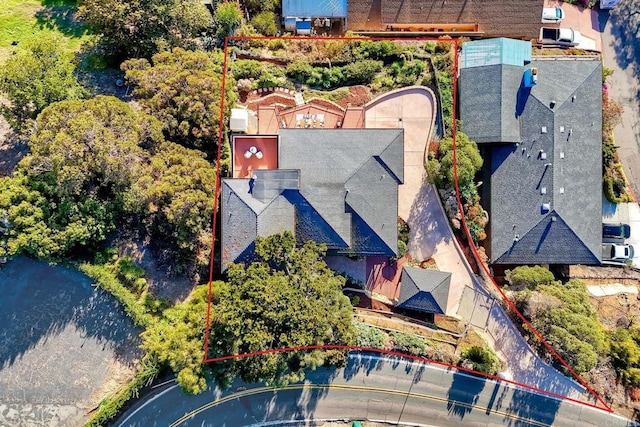 drone / aerial view