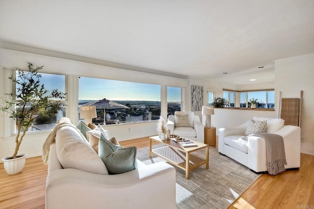 living room with baseboards, plenty of natural light, and wood finished floors